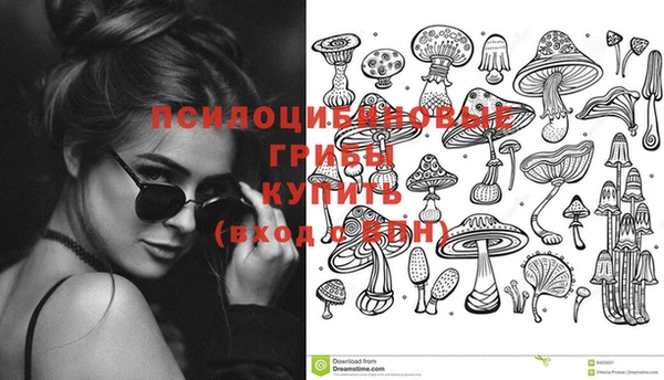 МДПВ Абдулино