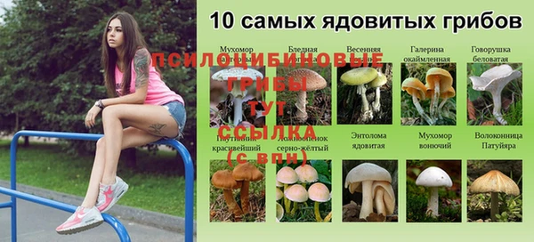 гашишное масло Протвино