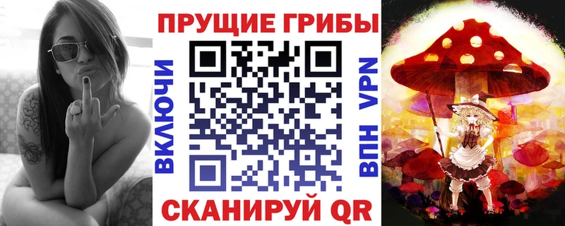 нарко площадка как зайти  Кизляр  Псилоцибиновые грибы Psilocybe 
